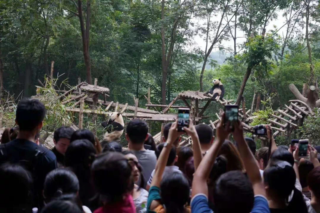 额头上绒毛是福气_额头上有很多绒毛在面相上_额头上绒毛多女子命运