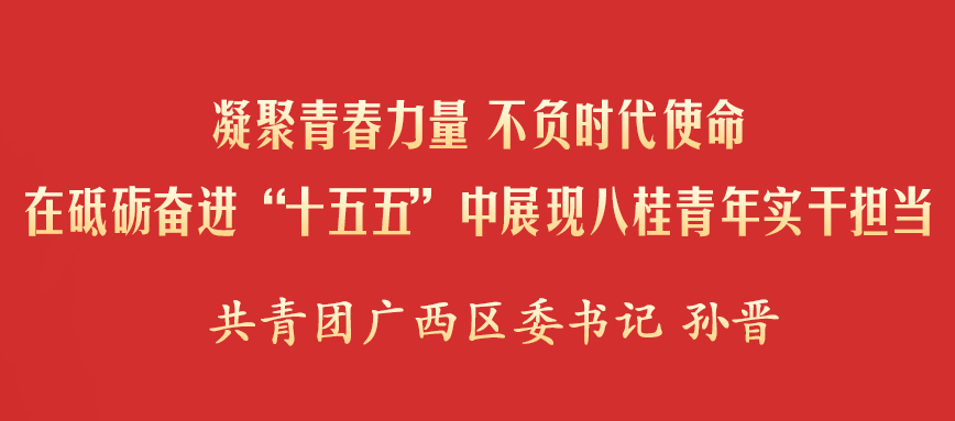 凝聚青春力量 不负时代使命在砥砺奋进“十五五”中展现八桂青年实干担当