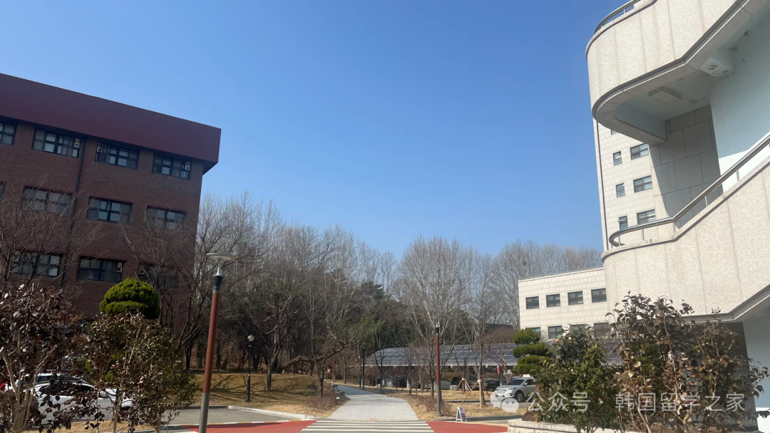 2026年3月忠北大学高升本零语言入学简章(图5)