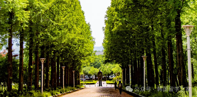 2026年3月岭南大学研究生入学简章(图13)