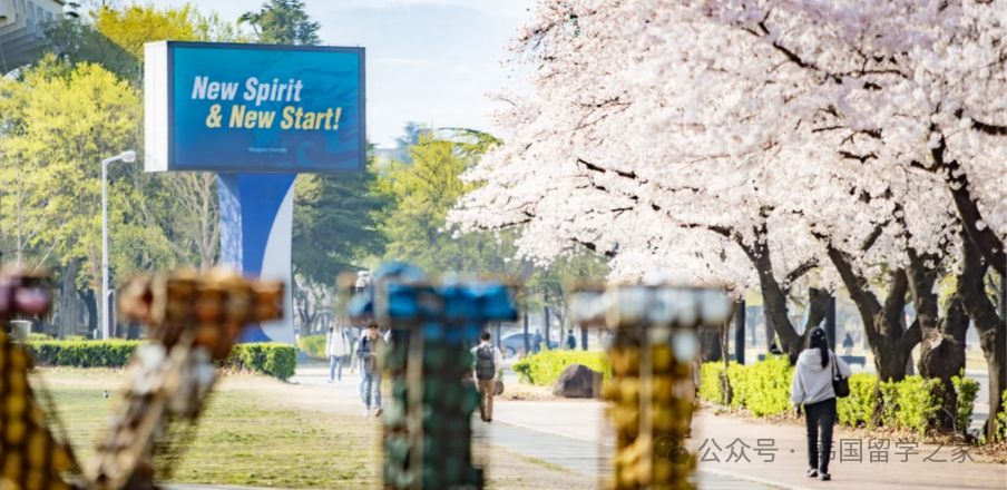 2026年3月岭南大学研究生入学简章(图14)