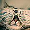 86901f22c967603447afed83272a718f.jpg
