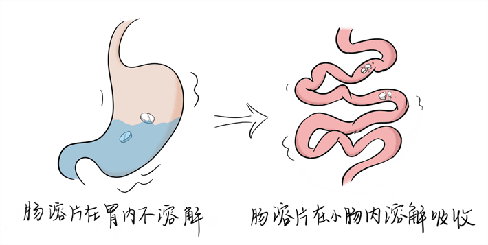 BE药片治什么作用【宽街·科普】药片掰不掰？胶囊拆不拆？宽街药师给您唠个明白_https://www.jmylbn.com_新闻资讯_第9张