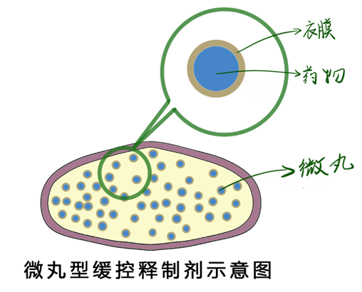 BE药片治什么作用【宽街·科普】药片掰不掰？胶囊拆不拆？宽街药师给您唠个明白_https://www.jmylbn.com_新闻资讯_第5张