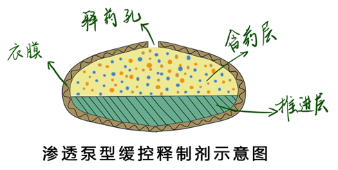 BE药片治什么作用【宽街·科普】药片掰不掰？胶囊拆不拆？宽街药师给您唠个明白_https://www.jmylbn.com_新闻资讯_第4张