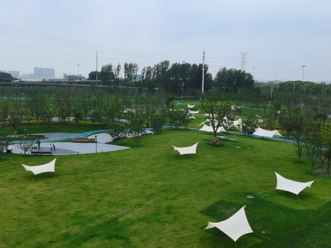 仪生态园杨庄浜滨水绿带公园眼下正是出门游玩的好时节趁着天气晴好带