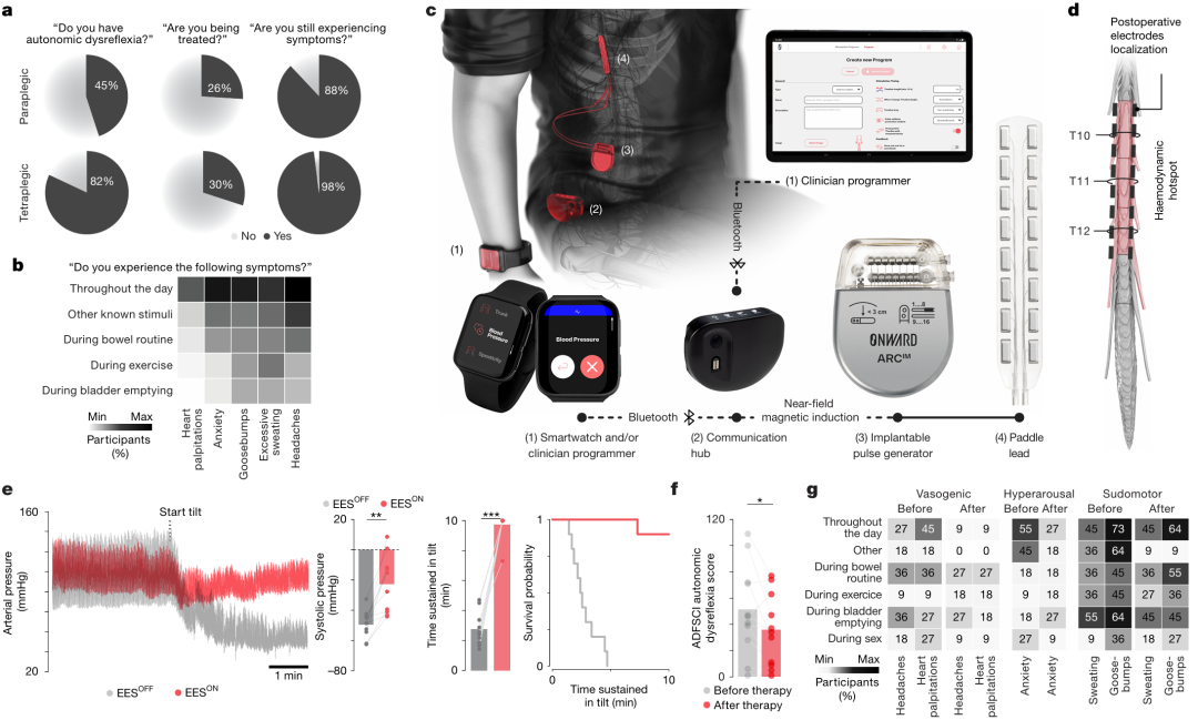 Med怎么电写Nat+Nat Med ｜ 破译脊髓损伤后血压紊乱的“神经密码”：揭示对抗性神经元结构，实现仿生电刺激精准双向调控_https://www.jmylbn.com_新闻资讯_第4张
