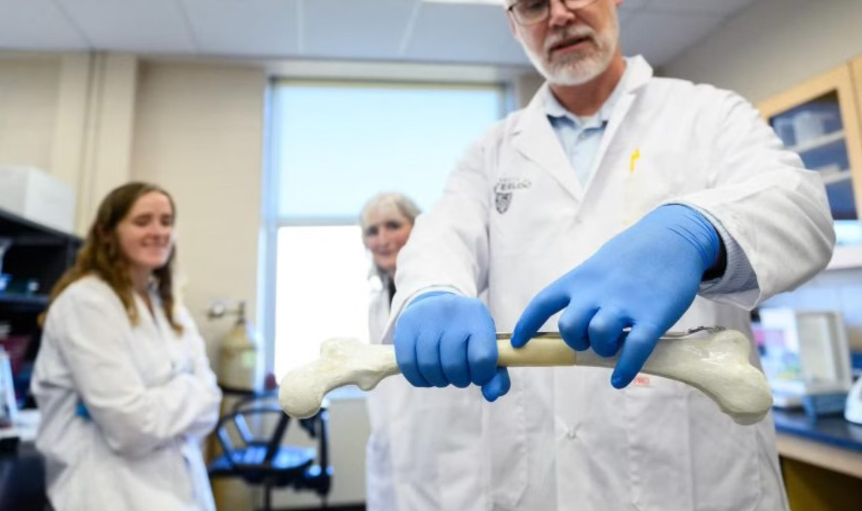 研究人员开发出天然3D打印骨移植材料，可减少金属植入物引起的并发症