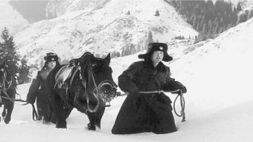 《我的阿勒泰》火出圈,他们用命换来的,却无人问津,被深深忘记