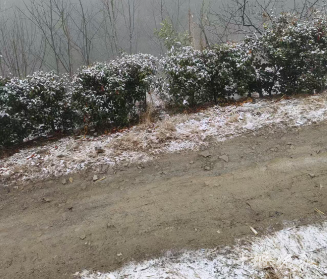 十堰多地降雪，更大的雪在今晚！春节还会下吗？气象资料显示……