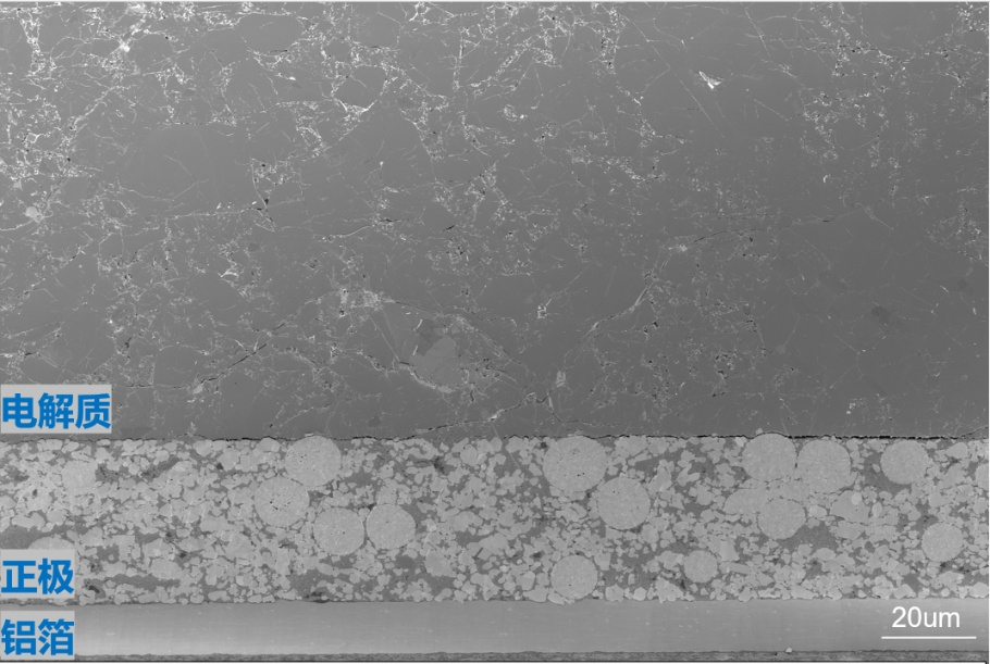 UFM-1000离子束切割抛光仪应用分享——锂电池样品表征