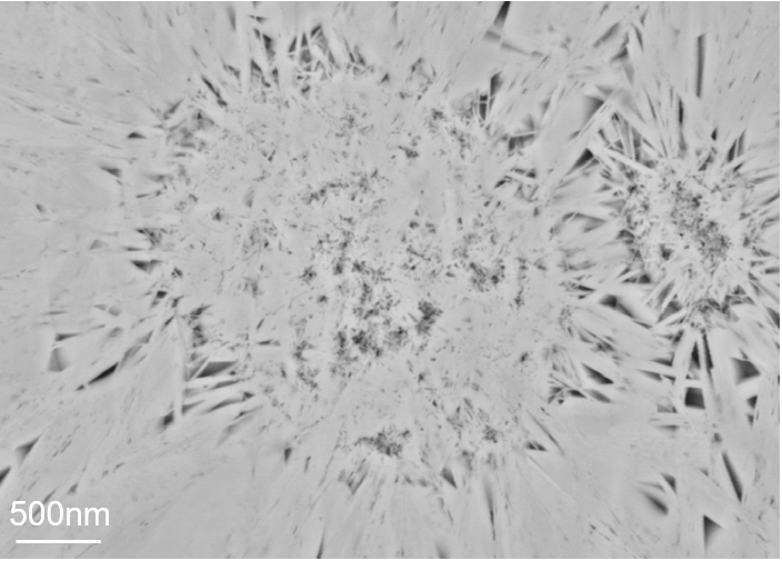 UFM-1000离子束切割抛光仪应用分享——锂电池样品表征