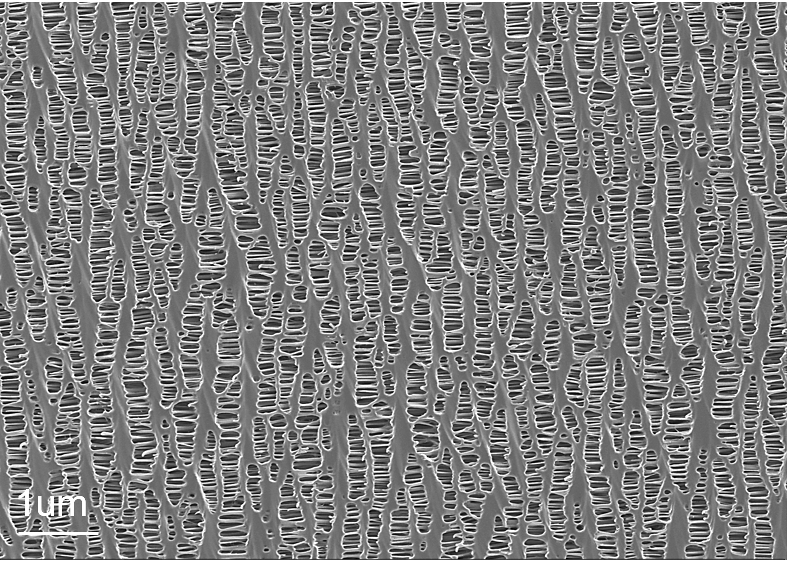 UFM-1000离子束切割抛光仪应用分享——锂电池样品表征