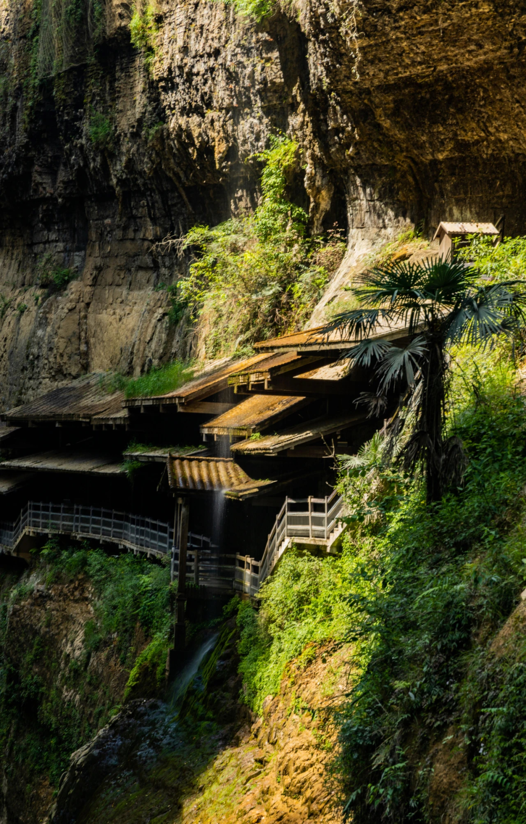 逃离夏日"闷热晒",湖北这些地方凉飕飕