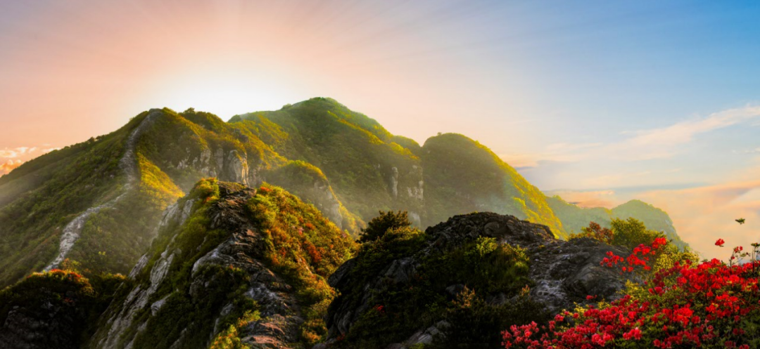 图/咸宁市幕吐糜尉盅刈膨暄训男〉赖酱锷蕉,眼前显现出一大片"