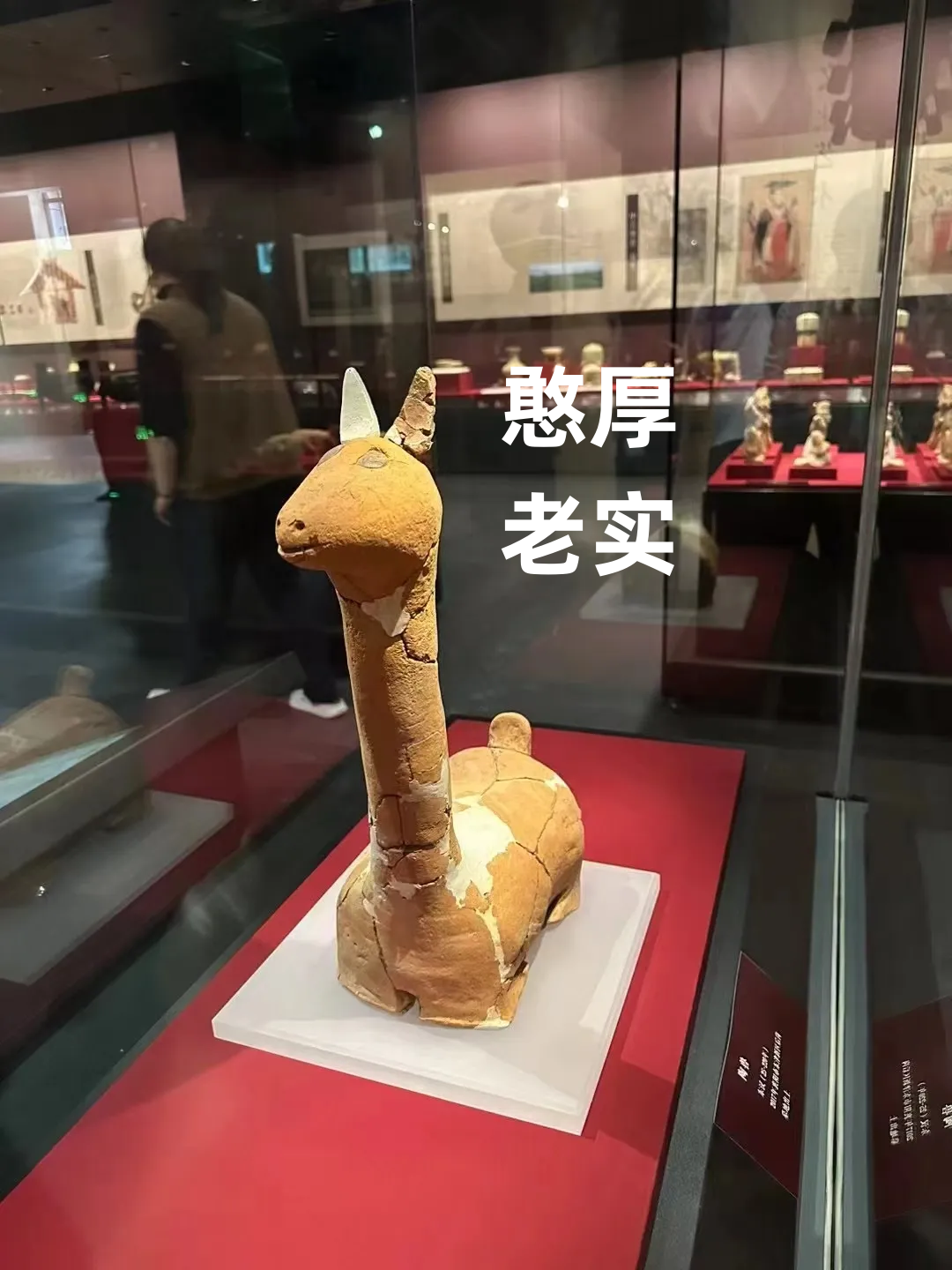 爱上湖北这座城,从博物馆开始