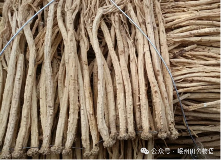 1月甘肃当归、党参、黄芪等药材价格分析