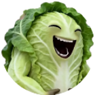 白菜对我笑2026
