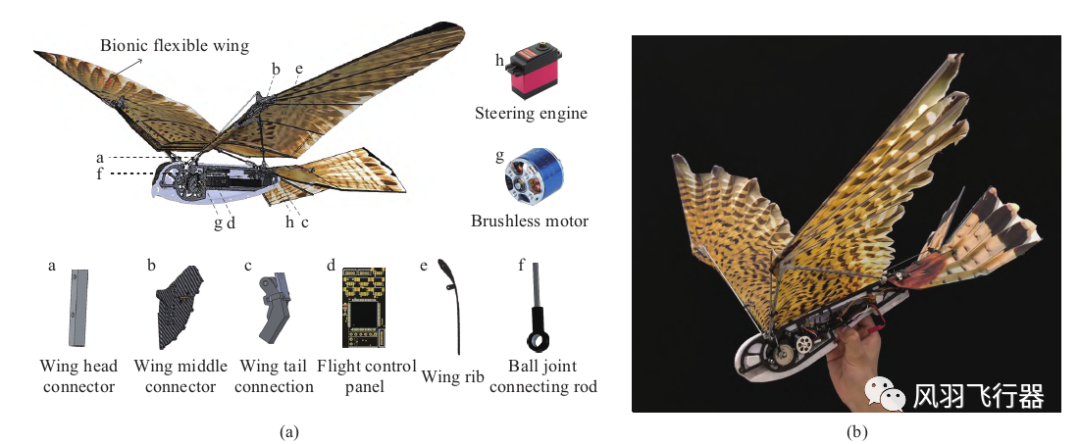 仿生扑翼飞行器的控制系统的图5