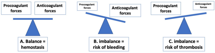 血凝检测是什么临床止血领域的创新诊断解决方案_https://www.jmylbn.com_新闻资讯_第2张