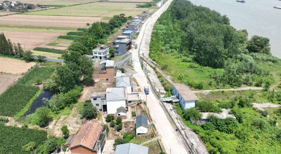 我区江洲镇夏粮抢收,九江市柴桑区人民政府,资讯中心,政务资讯