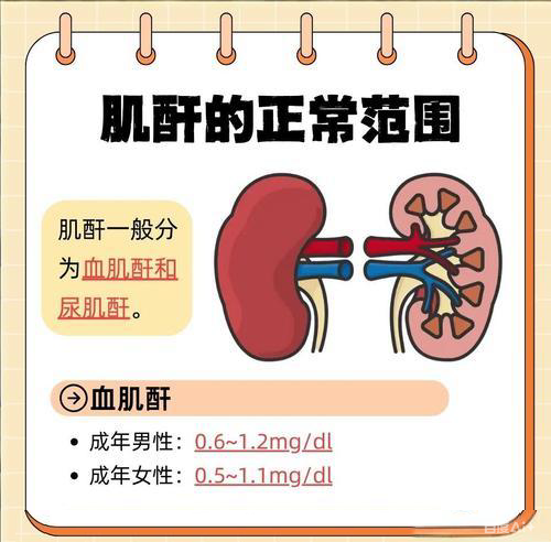 fDJIMNTDo - 副本_副本.png