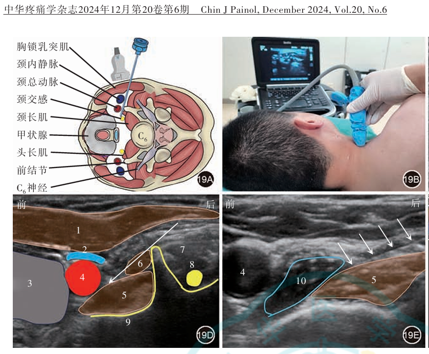 屏幕截图 2025-08-08 112732.png