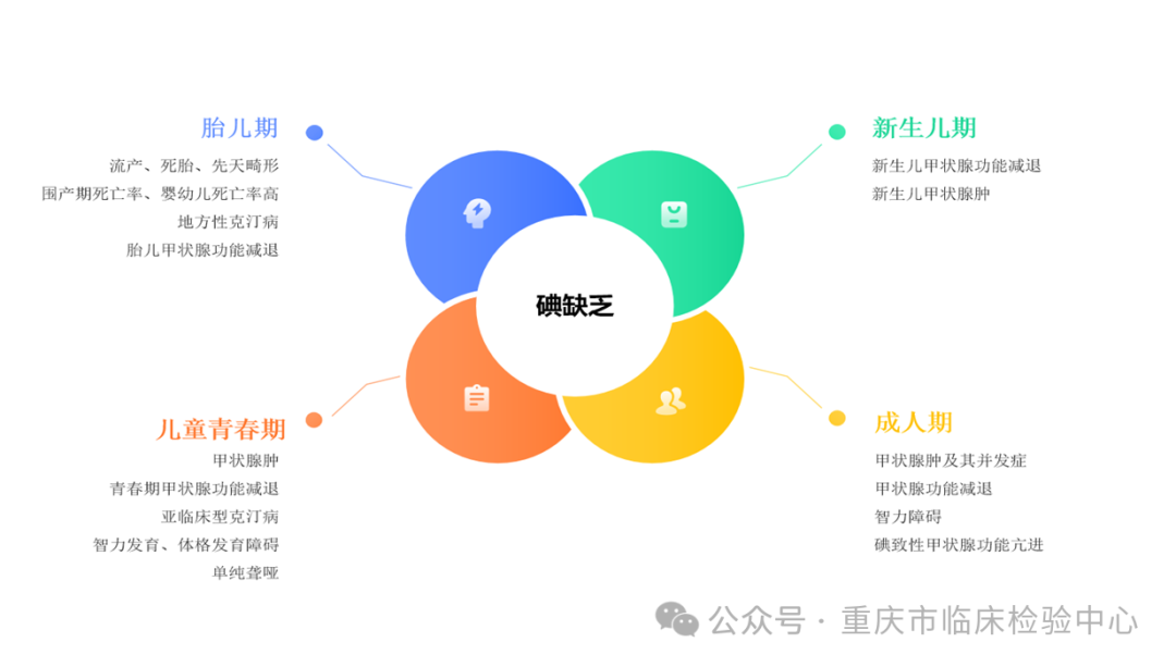 尿碘怎么检测尿碘检测——为我们的健康“碘”亮方向_https://www.jmylbn.com_新闻资讯_第10张