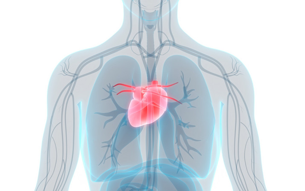 十二道心电图怎么检查好消息！我院可开展十八导联心电图检查啦！_https://www.jmylbn.com_新闻资讯_第4张