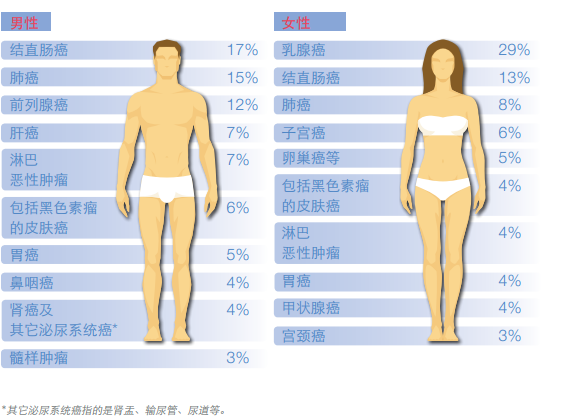 在新加坡体检都有哪些注意事项