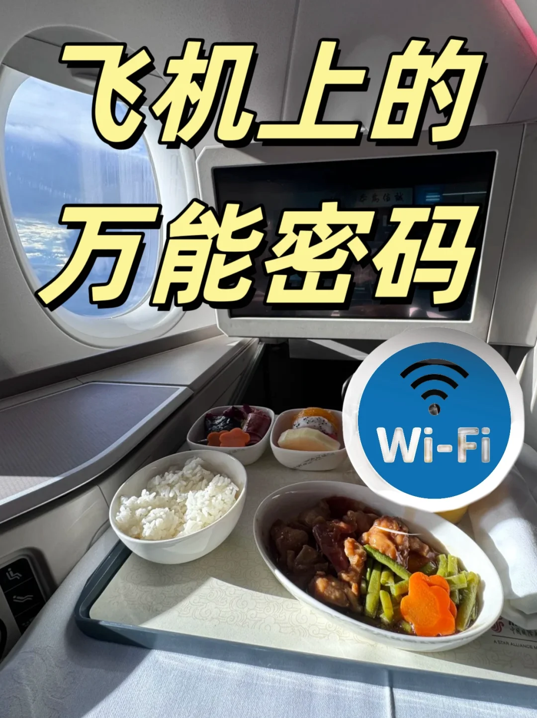 国外接码app飞机