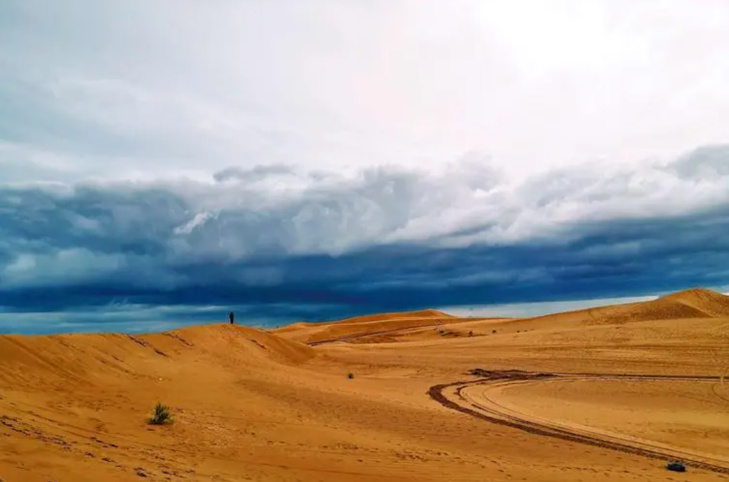 沙峰林立,起伏错落,一望无垠,却突然如着了魔法一般被茵茵绿草,汪汪