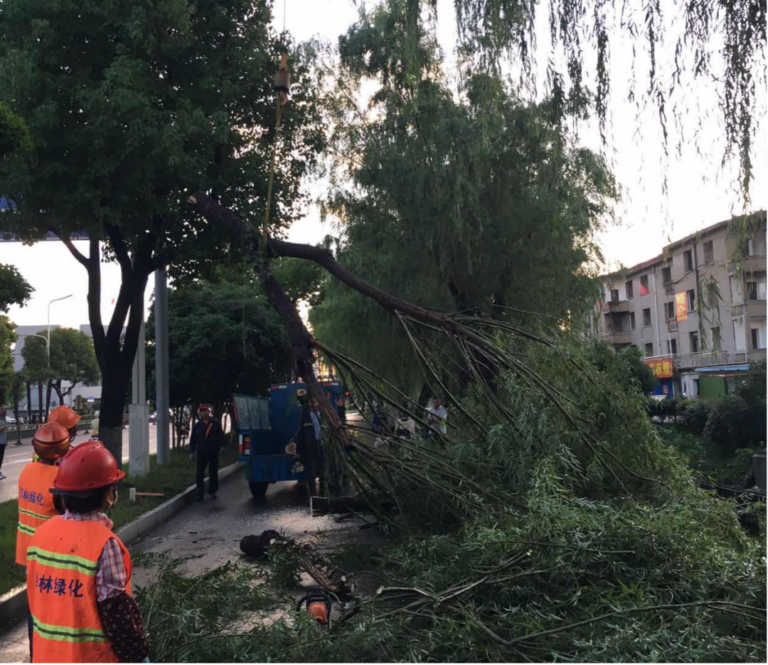 闻风而动 挑灯抢修！宝应住建部门快速处置强对流天气城市险情