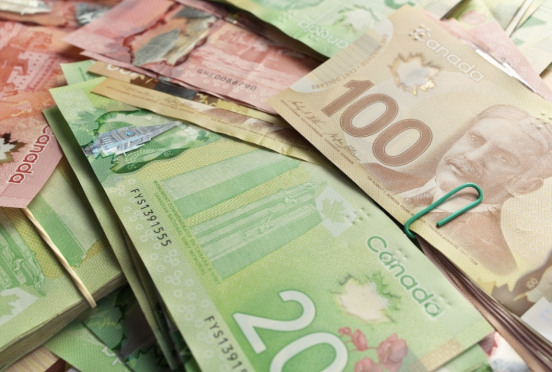 发钱啦！本周牛奶金到账！福利年年涨！