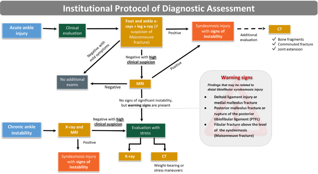 下胫腓联合损伤最全攻略｜解剖、生物力学、影像检查与术后评估