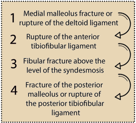下胫腓联合损伤最全攻略｜解剖、生物力学、影像检查与术后评估