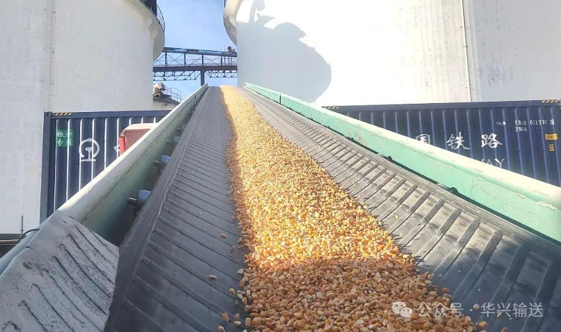 从“粉尘漫天”到“一尘不染”：华兴输送的粮食安全秘诀