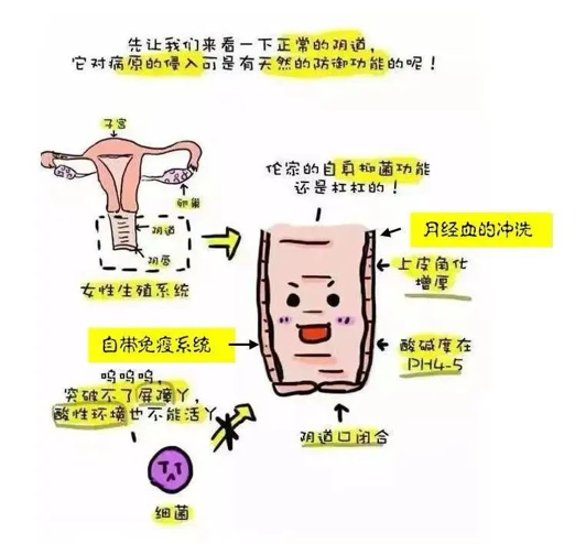 细菌性阴道病怎么检查【妇幼科普】困扰女性的难“炎”之隐之阴道分泌物检测_https://www.jmylbn.com_新闻资讯_第6张