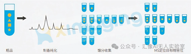 效率提升 8-12 倍！智能制备纯化自动化平台重塑研发新范式