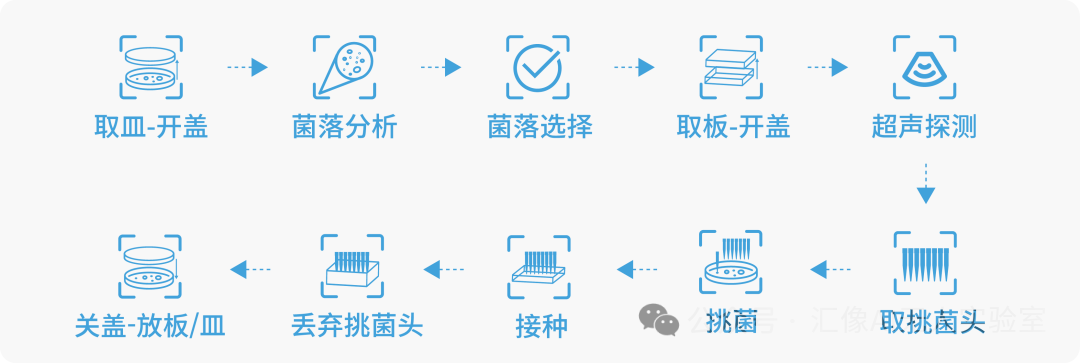 智能菌落挑選：微生物領域的無人化新引擎