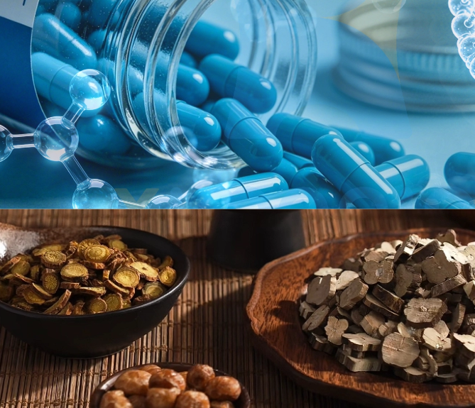 效率提升 8-12 倍！智能制备纯化自动化平台重塑研发新范式