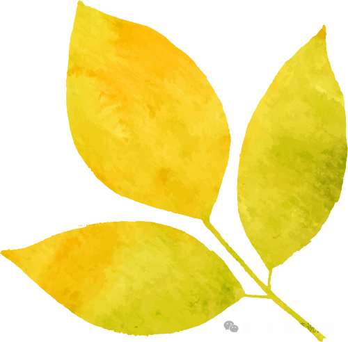 快手磁圣瑟韦县5.0动作游戏高投资收益！包赚(图8)