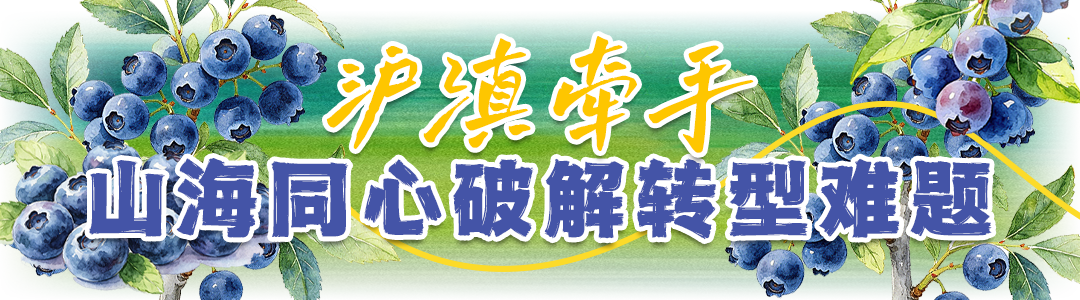 10e54ec7daf8682ef6de0676eea6a258.png