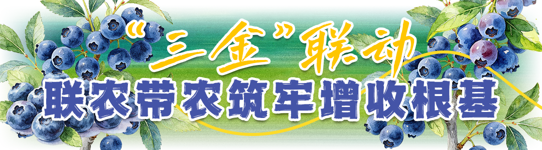 8850e879574208c7aebce80a134888ae.png