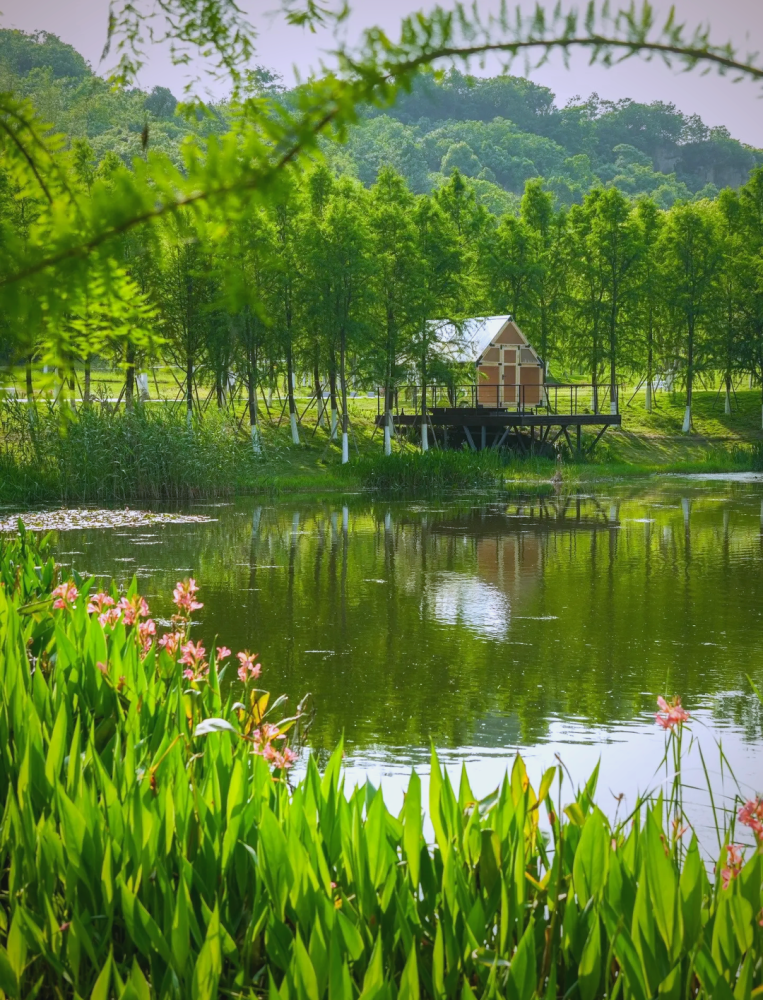 微信图片_20260508171740_1975_3.png