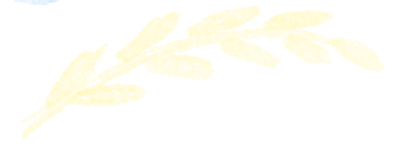 怎么躲过散瞳机通州妇幼眼科引入广角眼底造影机，免散瞳，更精准_https://www.jmylbn.com_新闻资讯_第9张