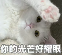 邓文迪默多克女儿入职AI初创Devin 豪门二代流行去AI公司镀金