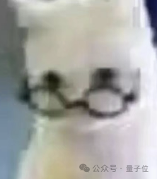 原文图片13