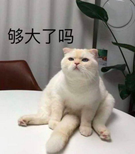 【两性】为什么男人在婚后性生活中容易“高开低走”？（组图） - 3