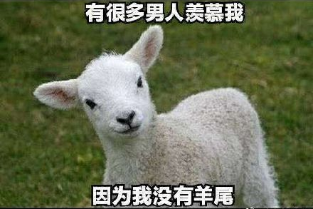 【两性】为什么男人在婚后性生活中容易“高开低走”？（组图） - 6